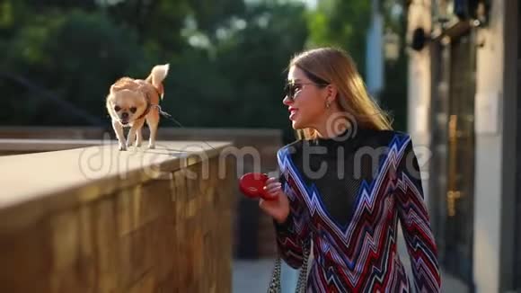 年轻时尚的女人带着狗在城里散步视频的预览图