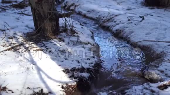 春天的概念冬季水流春天来了地上有雪流水作业视频的预览图