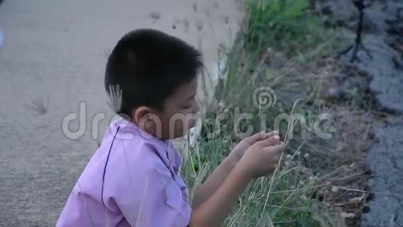 亚洲男孩拿着电话坐在街上道路和草地的背景视频的预览图