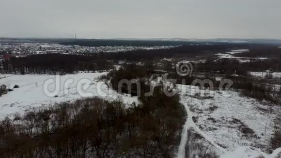 森林里的冬天冬季混合森林被雪霜覆盖冬天的风景视频的预览图