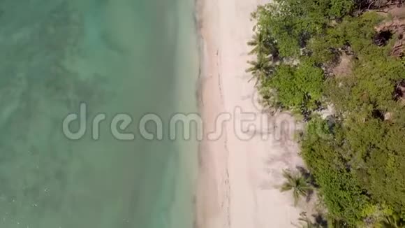 空中电影无人机拍摄的天堂空海滩与蓝色的水和棕榈树视频的预览图
