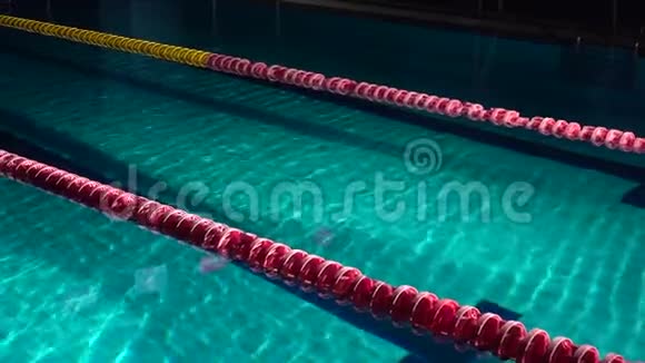 无法辨认的男性游泳运动员从起点跳下来开始在游泳池里游泳职业运动员训练跳水和跳水视频的预览图