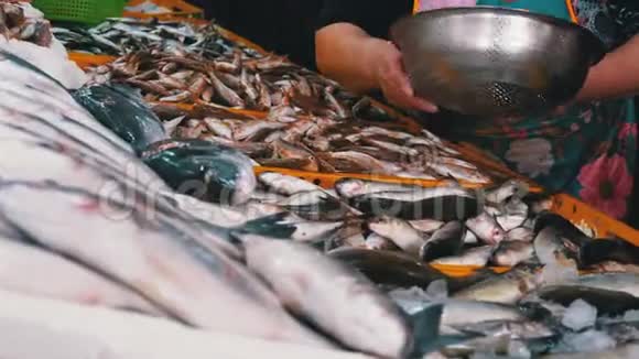 女售货员在一个街头鱼市卖冰鲜鱼海鲜店展示视频的预览图