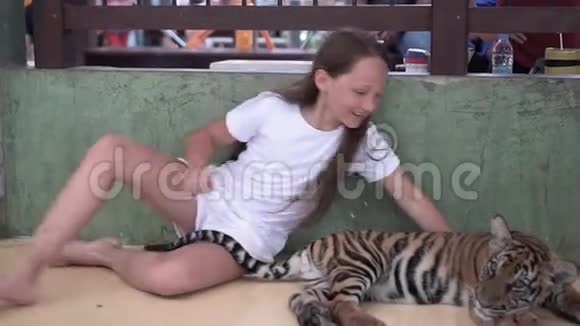 美丽的女孩抚摸小虎崽子微笑着旅行概念视频的预览图
