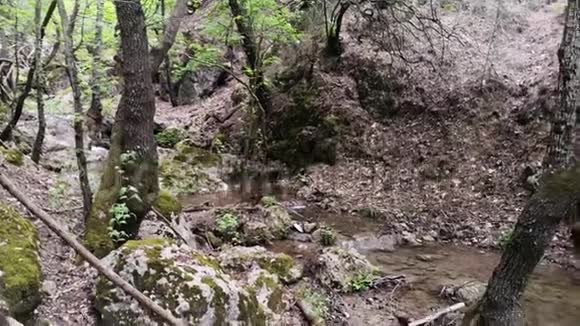 希腊夏季山脉之间的小溪希腊蝴蝶谷视频的预览图