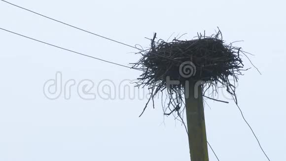 电线杆上的孤鹳鸟窝废弃的巢穴鹳鸟飞向温暖的气候4k视频的预览图