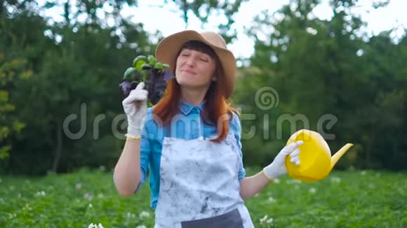 微笑的女园丁摆姿势与西葫芦植物看相机农业和园艺的概念视频的预览图