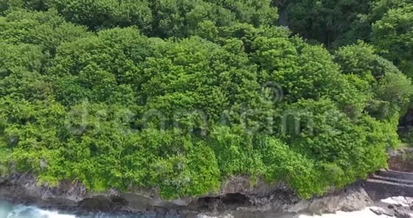 巴厘岛的海岸有悬崖和许多绿树海浪拍打着4K视频的预览图