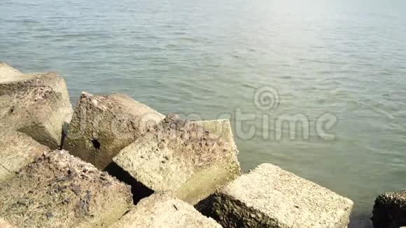岩石海岸附近水流的海景视频的预览图