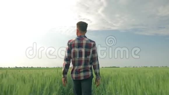 年轻的农民在蓝天的背景下穿过一个绿色的大麦种植园享受着美丽的田野视频的预览图
