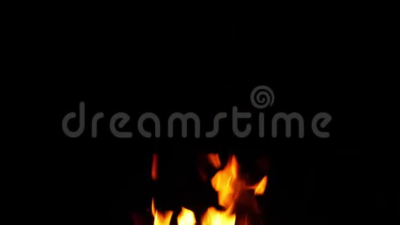 在黑色背景下的营火燃烧视频的预览图