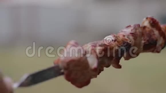 烤串上的烤串视频的预览图