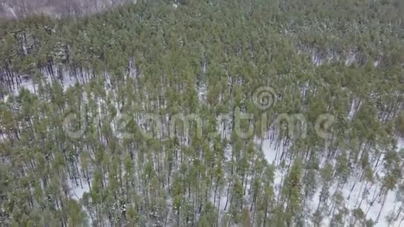 森林里的冬天冬季混合森林被雪霜覆盖冬天的风景视频的预览图
