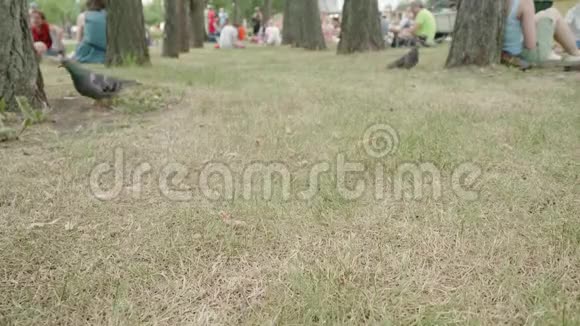 公园里的干草人们坐在公园里散步的腿视频的预览图