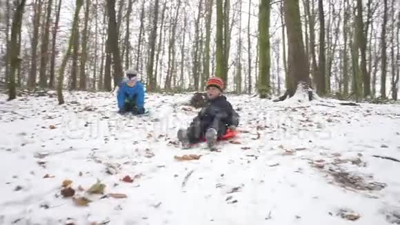 两个男孩在冬天雪橇视频的预览图