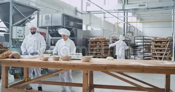 一个大型面包店工业机器面包师在餐桌上制作面包面团时拍摄的大型视频视频的预览图