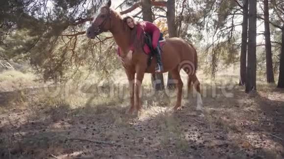 镜头接近快乐的白人女性马术躺在马背上抚摸她的宠物美丽的棕马视频的预览图