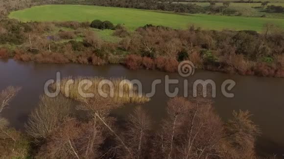 用无人驾驶飞机俯瞰撒丁岛的湖泊和科希纳斯河周围是树木和农田视频的预览图