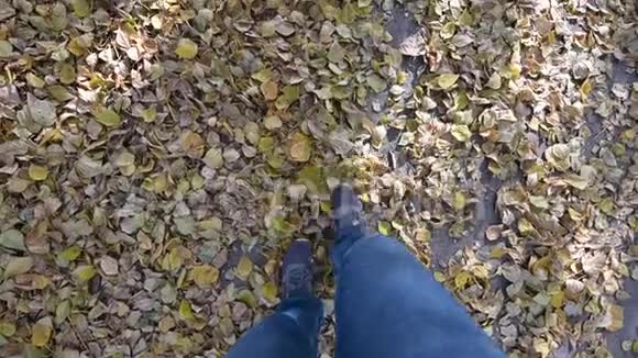 男人脚穿着蓝色牛仔裤灰色运动运动鞋穿着黄色落叶的秋天沥青第一人称观点视频的预览图