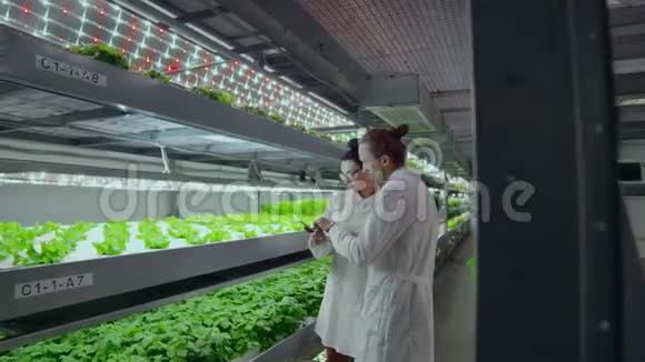 一组现代科学家生物技术科学家穿着白色西装用于加工有机水培蔬菜视频的预览图