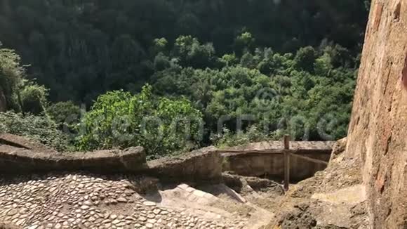 加尔卡塔森林景观视频的预览图