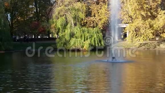 城市公园湖心的喷泉视频的预览图