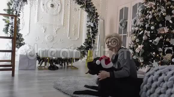 美丽的女孩在圣诞照片拍摄与他心爱的狗黑色视频的预览图