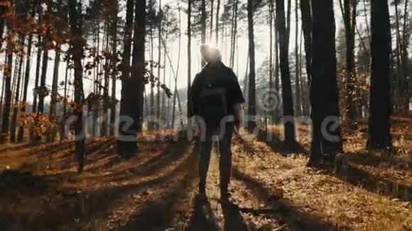 后景在秋天的森林里散步的女游客视频的预览图