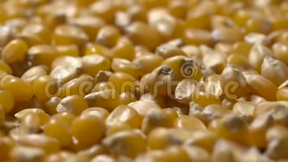 玉米粒轮作玉米粒的全框架视频的预览图