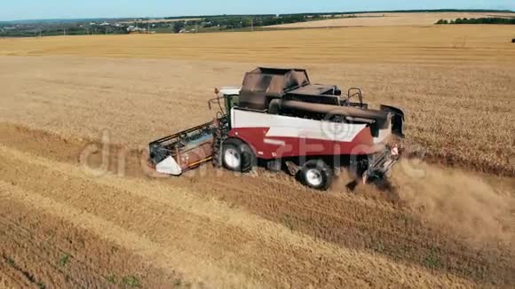 一个工作组合机犁小麦作物收获的概念视频的预览图