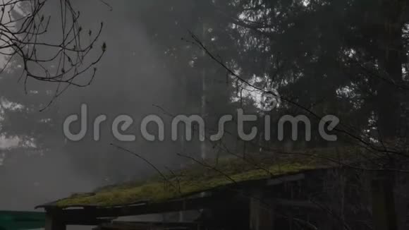 从青苔的屋顶爬过去的篝火烟雾视频的预览图