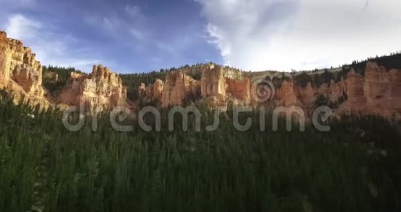 在阳光明媚的一天无人机摄像机在罐头上拍摄峡谷和松林的底景视频视频的预览图