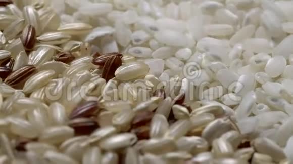 轮作的两种水稻A粒全框架视频的预览图
