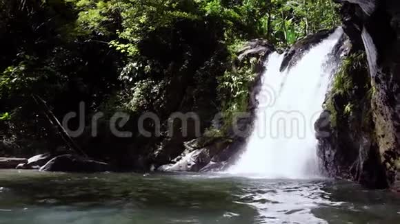 热带森林瀑布马提尼克岛视频的预览图