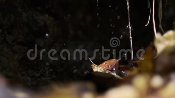 水滴落在一块带叶子的冰冷岩石上慢动作视频的预览图