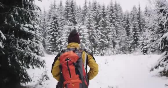 在一个寒冷的冬日里游客可以带着一棵大圣诞树穿过这片神奇的森林里的积雪视频的预览图