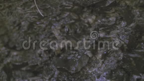 水滴落在冰冷的岩石上慢动作视频的预览图