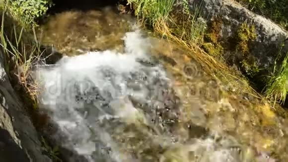一条美丽的山溪流过石头背景清澈的水自然慢动作视频的预览图