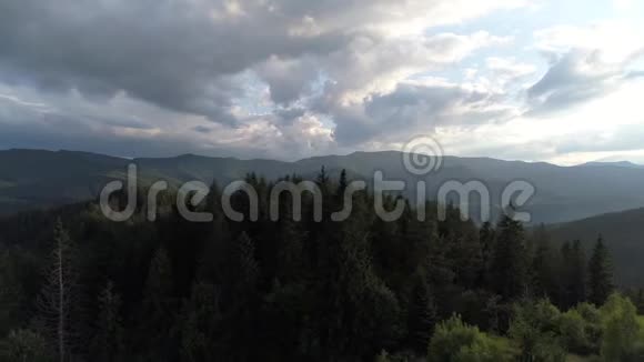 喀尔巴阡山顶景中的森林视频的预览图