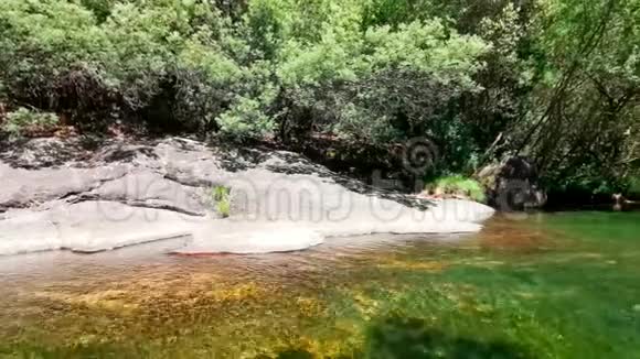 宁静的河流夏季植被丰富河的一般景色视频的预览图