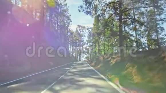 完美的沥青山路新漆的道路标记洛基路旁还有绿色针叶树视频的预览图