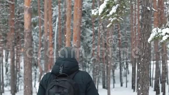 人穿越树林视频的预览图