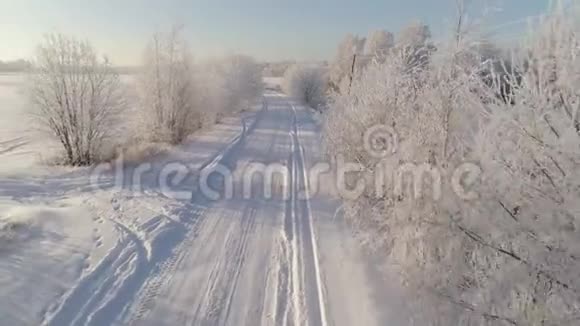 清晨的雪道冰天雪地的英尼树视频的预览图