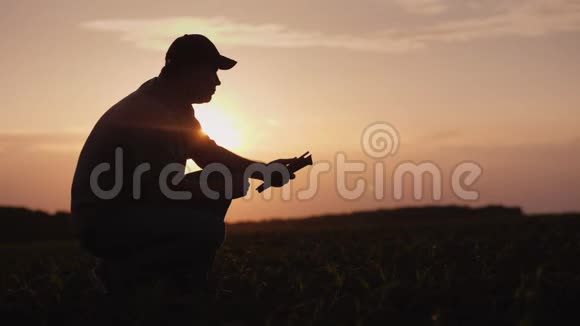 日落时一个农民正在地里干活利用平板电脑研究植物芽视频的预览图