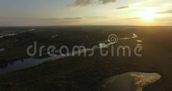 森林和湿地的空中日落景象视频的预览图