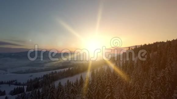 日出时乘飞机飞过覆盖着云杉和松林的群山新的冬天即将来临自然视频的预览图