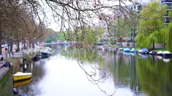 荷兰阿姆斯特丹运河开春前视频的预览图