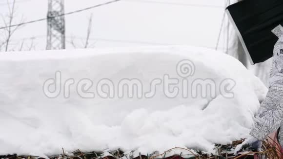 从屋顶上拆下雪堆视频的预览图