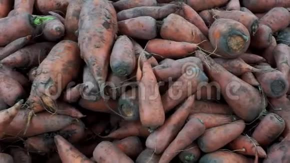 胡萝卜在超市卖蔬菜的背景视频的预览图