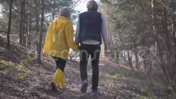 恋爱中的情侣牵着手在春天的森林里散步视频的预览图